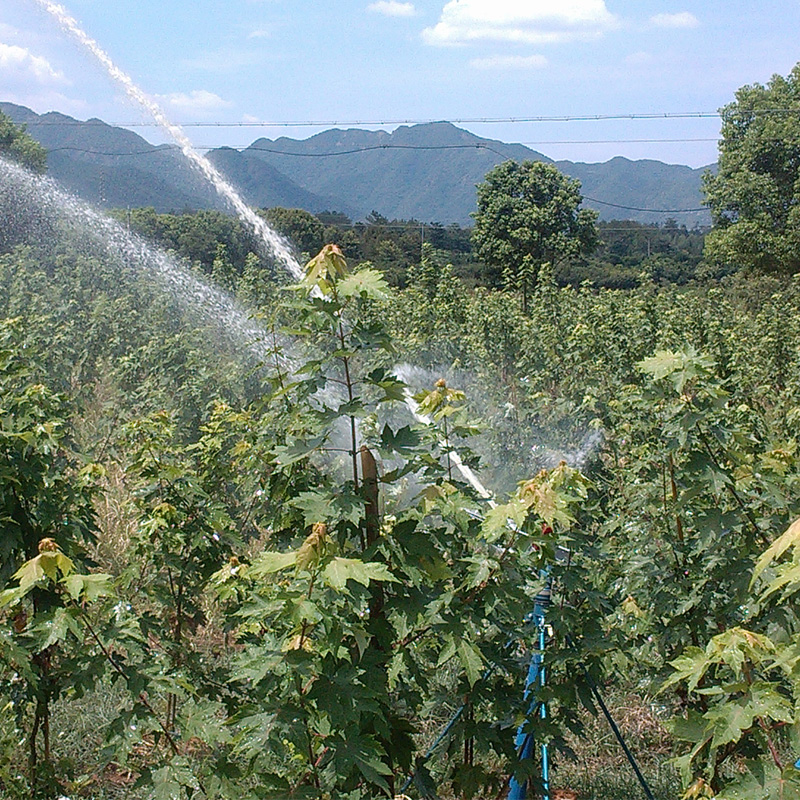 Garden irrigation